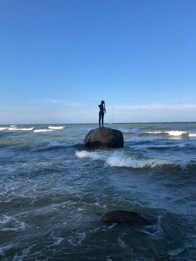 Ferienhaus Zum Suedstrand Sellin  المظهر الخارجي الصورة